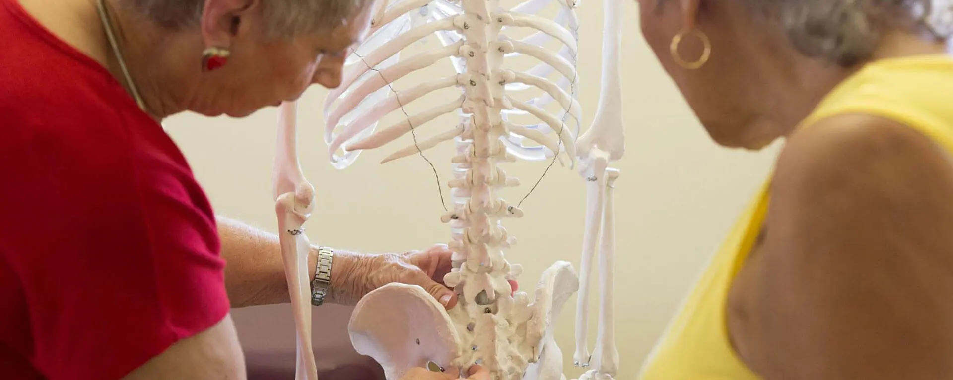 Elderly People Inspecting a Skeleton Model